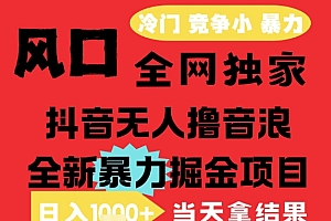 25年6月高爆抖音无人直播最新撸音浪掘金项目,解放双手小白可做,无脑日入1k+,门槛低【揭秘】