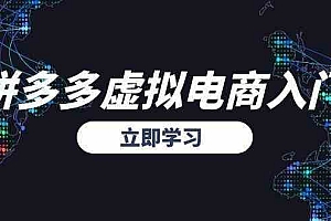 拼多多虚拟电商入门,精准选品方法论,无货源模式起盘技巧