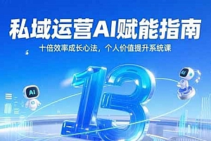 私域运营AI赋能指南,十倍效率成长心法,个人价值提升系统课