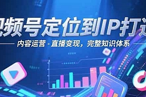 视频号定位到IP打造:账号搭建-内容运营-直播变现,完整知识体系