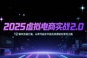 2025虚拟电商实战2.0,12模块无缝打通,从养号起步开启无货源轻松变现之路