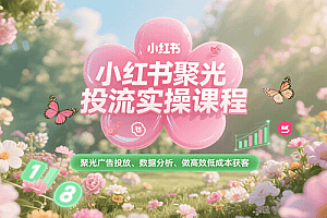 小红书聚光投流实操课程,聚光广告投放、数据分析、做高效低成本获客