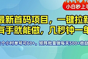最新首码项目,一键拉新有手就能做,几秒钟一单,1个小时单号可60+,矩阵批量做每天5张【揭秘】