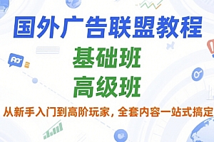 国外广告联盟教程,基础班和高级班,从新手入门到高阶玩家,全套内容一站式搞定
