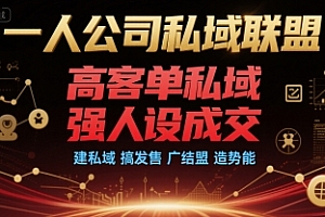 一人公司私域联盟,高客单私域,强人设成交,建私域 搞发售 广结盟 造势能