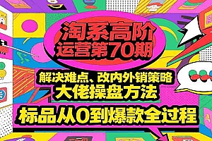 淘系高阶运营第70期,解决难点、改内外销策略,大佬操盘方法,标品从0到爆款全过程