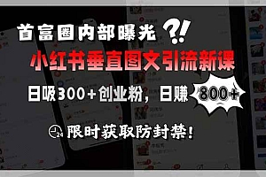 (15313期)首富圈内部曝光小红书垂直图文引流新课,日吸300+创业粉,日赚800+,限…
