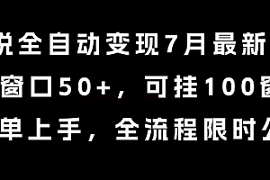 小说全自动变现7月玩法,单窗口50+,可挂100窗口,简单上手,全流程限时公布【揭秘】