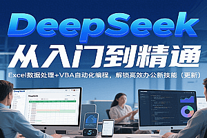 DeepSeek从入门到精通,Excel数据处理+VBA自动化编程,解锁高效办公新技能(更新)