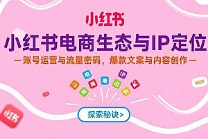 (15350期)小红书电商生态与IP定位,账号运营与流量密码,爆款文案与内容创作