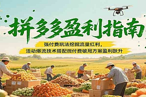 拼多多盈利指南:强付费玩法挖掘流量红利,活动爆流技术搭配微付费方案实现盈利跃升