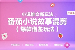小说推文新玩法,番茄小说故事混剪(爆款借鉴玩法)