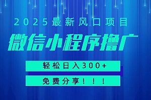 微信小程序撸广,最新风口项目,日入300+ 免费分享 可批量操作 小白可轻松上手!!