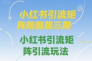 小红书引流矩阵陪跑第三期,小红书引流矩阵引流玩法
