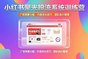 (15407期)小红书聚光投流系统训练营,广告预算分配,内容优化技巧,团队执行管理