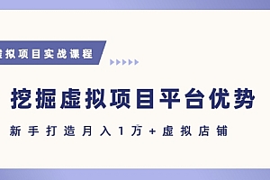 抓住虚拟项目各平台优势,新手轻松月入1W+(给出具体建议)