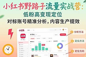 (15423期)小红书野路子流量实战营:低粉高变现定位 对标账号精准分析 内容生产提效