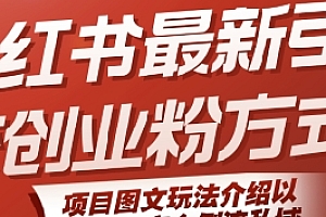 小红书最新引流创业粉方式,项目图文玩法介绍以及如何安全倒流私域