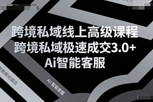 跨境私域线上高级课程,跨境私域极速成交3.0+Ai智能客服
