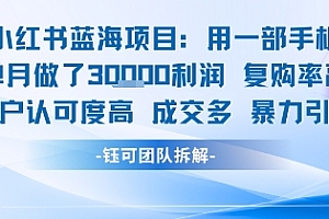 小红书蓝海项目,一部手机单月做了3W利润,小白也能月入过1W用户认可度高成交多