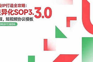 (15486期)商业IP打造全攻略:差异化SOP3.0流程,短视频协议模板,婚恋项目实战案例