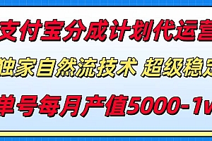 支付宝分成计划代运营,独家自然流技术,收益稳定,单号月产5000+