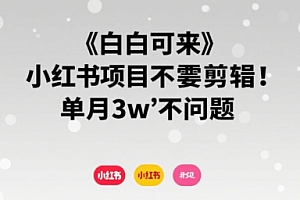 小白可来 小红书项目不需要剪辑 单月3w不是问题