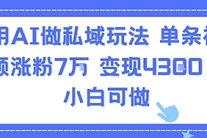 用AI做私域玩法,单条视频涨粉7W变现4.3k,小白可做