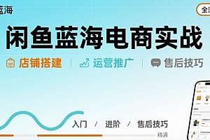 闲鱼蓝海电商实战,店铺搭建运营售后全流程