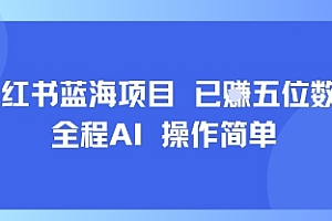 小红书蓝海项目,全程AI,操作简单,已挣五位数
