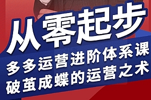 拼多多运营进阶系统课,从零起步,多多运营进阶体系课,破茧成蝶的运营之术