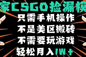 CSGO自动捡漏项目,最新独家玩法,不是美区搬砖,不需要了解和玩游戏,新手小白轻松月入1W+【揭秘】