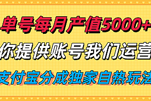 单月产值5000+,支付宝分成代运营,你提供账号坐等分钱,我们帮你运营
