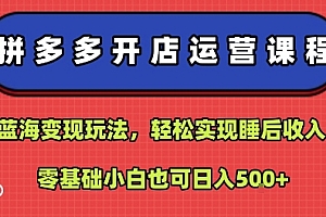 拼多多开店运营课程:蓝海变现玩法,轻松实现睡后收入,零基础小白也可日入5张