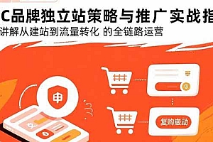 (15818期)DTC品牌独立站策略与推广实战指南,系统讲解从建站到流量转化的全链路运营