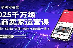 2025千万级电商卖家运营课:小红书/TK打法+实体IP矩阵与视频量产技巧