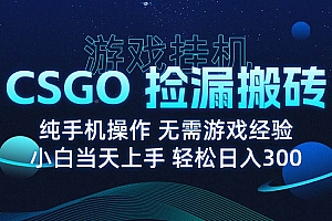 (15820期)8月最新游戏搬砖,CSGO纯挂机,不需要玩游戏,实现真挂机,月入1W+