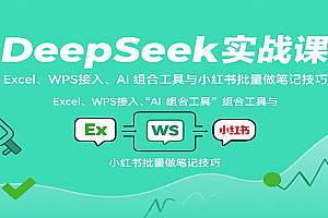 DeepSeek实战课:Excel、WPS接入、AI 组合工具与小红书批量做笔记技巧