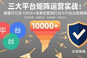 (15841期)三大平台矩阵运营实战:掌握月引流10000+线索的矩阵打法与平台合规策略