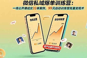 (15843期)微信私域爆单训练营:一场公开课成交33单案例,99元自动训练营批量变现术