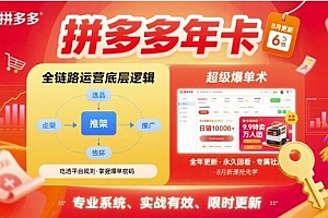 拼多多年卡【8月更新6节】拼多多全链路运营底层逻辑,超级爆单术