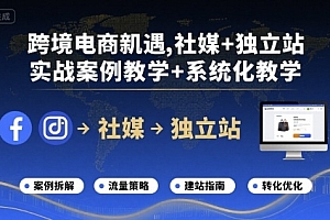 跨境电商新机遇,社媒+独立站,实战案例教学+系统化教学