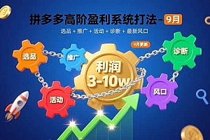 (15916期)拼多多高阶盈利系统打法-9月:选品+推广+活动+诊断+最新风口,月利润3-10w
