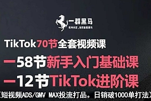 TikTok全套视频课,新手入门+进阶课,短视频ADS-GMV MAX投流打品,日销破1000单打法