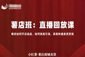 小红薯薯店商城卖货直播回放课,教你如何开店选品、如何系统引流,实现快速卖货变现