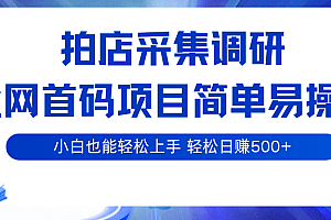 拍店采集调研,全网首码项目,简单易操作, 小白也能轻松上手,轻松日赚500+