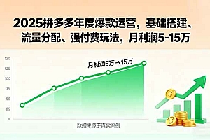 (15973期)2025拼多多年度爆款运营,基础搭建、流量分配、强付费玩法,月利润5-15万