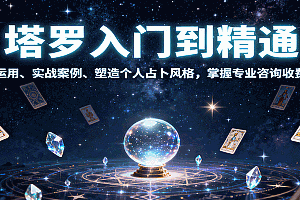 塔罗入门到精通,牌阵运用、实战案例、塑造个人占卜风格,掌握专业咨询收费能力