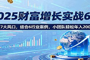 2025财富增长实战6.0,聚焦7大风口,结合6行业案例,小团队轻松年入200万!