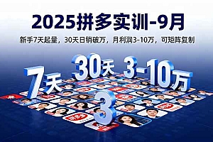 (16008期)2025拼多多实训-9月:新手7天起量,30天日销破万,月利润3-10万,可矩阵复制